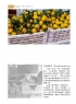 刘振炎《新会风•陈皮韵》摄影作品欣赏(41)_在线影展的作品